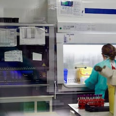 Ya hay 120 vacunas contra el COVID-19 en pleno desarrollo