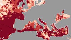 El aviso de Copernicus por el ‘estrés térmico’ en verano y la mortalidad por el cambio climático