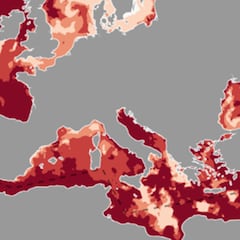 El aviso de Copernicus por el ‘estrés térmico’ en verano y la mortalidad por el cambio climático