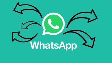 WhatsApp no te deja reenviar un mensaje a más de cinco personas a la vez ¿por qué?