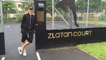 Zlatan Ibrahimovic creció en Rosengard un barrió en Malmö, Suecia, jugaba al fútbol frente a los edificios en donde vivía y ahora una cancha está ahí en su nombre.