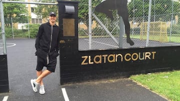 Zlatan Ibrahimovic creci&oacute; en Rosengard un barri&oacute; en Malm&ouml;, Suecia, jugaba al f&uacute;tbol frente a los edificios en donde viv&iacute;a y ahora una cancha est&aacute; ah&iacute; en su nombre.