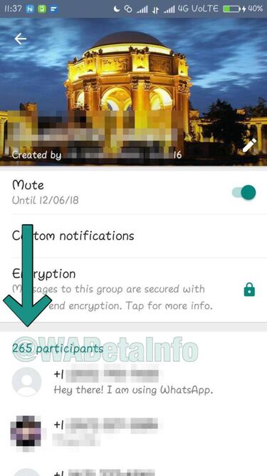 ¿Aumentará WhatsApp la cantidad de gente en un grupo a más de 256 usuarios?