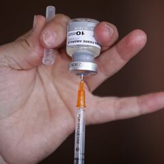 Primer caso de fiebre amarilla en Cundinamarca: dónde fue y qué medidas se tomaron