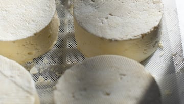 Kvarg or quark, a whipped cheese with a creamy white texture, contains a higher level of protein than other dairy products, rich in calcium and phosphate.