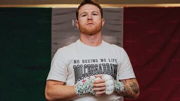 Canelo Alvarez has been very criticized during his career by boxing fans and colleagues and Bradley hasn’t held back this time.
