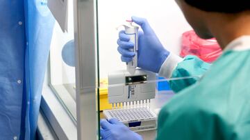 RealTime Laboratories prepares samples for the coronavirus disease (COVID-19) testing with PCR amplification in Carrollton, Texas, U.S. June 24, 2020.  REUTERS/Cooper Neill