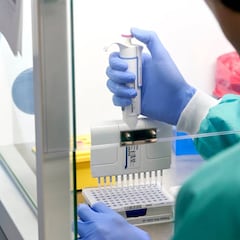 "El coronavirus se comporta como la gripe española, descendió en verano y retornó feroz en otoño"