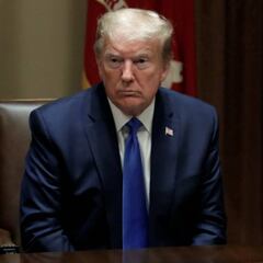 Donald Trump could freeze immigration for years