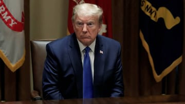 Donald Trump could freeze immigration for years