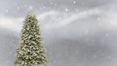 Da la bienvenida a la Navidad poniendo el árbol, ?no tienes uno?