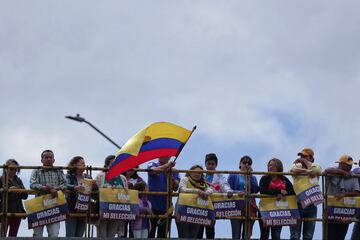 Miles de hinchas colombianos salieron a las calles de Bogotá para recibir a la Selección Colombia.