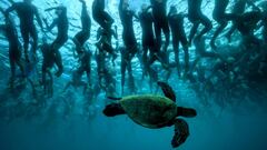 Las mejores imágenes deportivas que dejó 2016