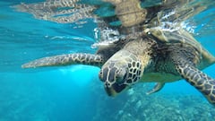 China bypasses the US and builds the world’s first ocean “microscope,” a powerful tool for climate modeling and weather forecasting