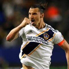 Zlatan teammates defend him after Onuoha incident