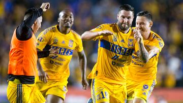 Tigres' Andree Pierre-Gignac (2-R) celebrates with teammates after scoring against Necaxa during their Mexican Apertura 2022 tournament football at the Universitario stadium in Monterrey, Mexico, on October 8, 2022. (Photo by Julio Cesar AGUILAR / AFP)