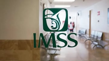 Afiliación al IMSS: cuánto cuesta, quién puede hacerlo y requisitos