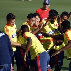 Plan de trabajo de la Selección previo a Chile y Argelia
