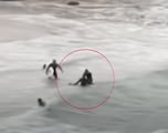 Un surfista se enfrenta a un tiburón para salvar a otro surfista