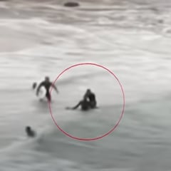 Un surfista se enfrenta a un tiburón para salvar a otro surfista