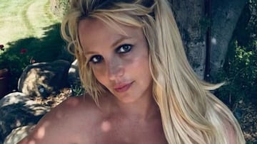 Britney Spears posa en 'topless' antes de la resoluci¨®n de su batalla judicial