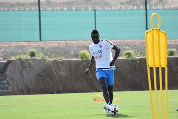 14 jugadores hicieron parte del segundo entrenamiento de Colombia en Murcia de cara a los amistosos ante España y Camerún el 7 y 13 de junio respectivamente.