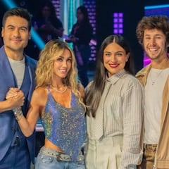 ¿Quién es la Máscara? 2025: quiénes son los investigadores y cuál es su función