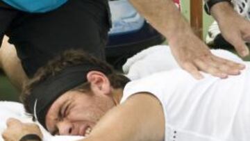 Del Potro gana a Hanescu y accede a cuartos de final