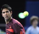 Verdasco: "No nos podemos creer favoritos en la Davis"