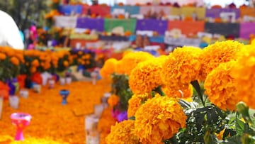 La curiosa flor brillante conocida como "Flor de Cempasúchitl" de color naranja y amarillo viene del náhuatl y guía el alma de los difuntos.