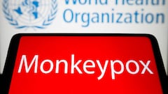 Monkeypox latest news summary | 22 May 2022