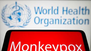 UKRAINE - 2022/05/21: In this photo illustration, the word Monkeypox is seen on the screen of a smartphone with the World Health Organization (WHO) logo in the background. (Photo Illustration by Pavlo Gonchar/SOPA Images/LightRocket via Getty Images)