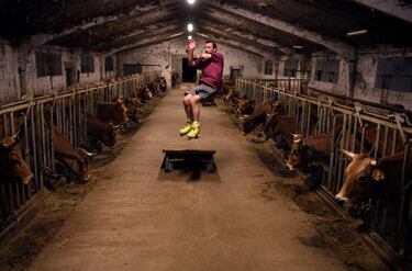 El ganadero Pablo Pato planchando trucos en su establo en Llanuces, Asturias.