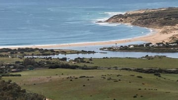 La playa de Valdevaqueros (Tarifa, Cádiz) seguirá siendo virgen gracias a la sentencia del Supremo que pone fin al macroproyecto urbanístico que pretendía urbanizar la duna.