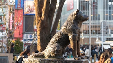 hachiko shibuya tokio