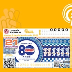 Resultados Sorteo Mayor 3995: números que cayeron hoy y lista de premios | 2 de diciembre del 2025