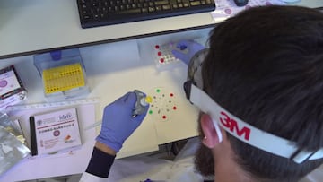 Un investigador de la UPV con el nuevo sistema
UPV
15/12/2020