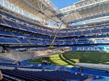 El nuevo césped, que ha sustituido al que llegó estropeado de Extremadura, viene de Arévalo y 'debuta' este domingo.