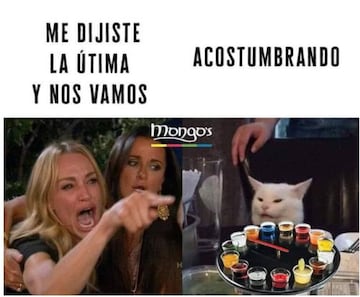 Meme gato
