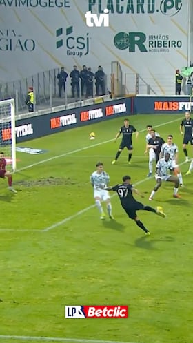 Recepción y bolea de calidad.