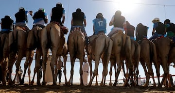 Carrera de camellos durante el Festival Sheikh Sultan Bin Zayed al-Nahyan, en el hipódromo de Shweihan en al-Ain en las afueras de Abu Dhabi.