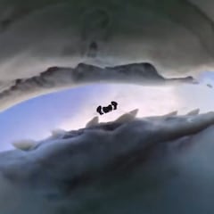 Un tiburón roba una cámara y graba un POV increíble desde su boca
