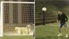 James Rodríguez: su perro Dylan triunfa en las redes como portero