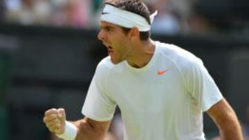 Del Potro acaba con Levine y Nishikori con Leonardo Mayer