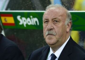 Vicente del Bosque.