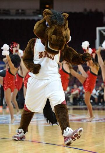 Bucky, de Santa Clara Broncos.