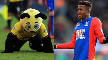 Harry &#039;el Avisp&oacute;n&#039;, la mascota del Watford, y Wilfried Zaha, el jugador del Crystal Palace, durante el partido que inaugur&oacute; el Boxing Day.