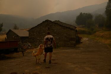 Una persona con su perro observa el incendio en Requeixo en Chandrexa de Queixa, Ourense, Galicia (España).