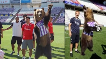 El famoso oso ruso Tima, un amigo de Iniesta y Valladolid