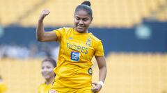 Tigres - Atlas (2-0): resumen del partido y goles